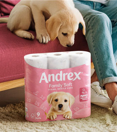 The Andrex puppy sitting on a sofa and looking at a newly designed Andrex pack on the floor