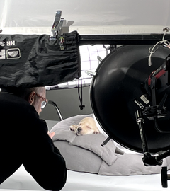 A behind the scenes image of a photoshoot with the Andrex puppy asleep